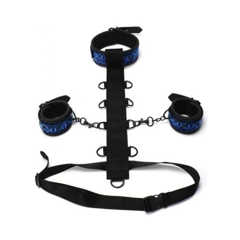 Whipsmart Body Harn Restraint 3pc Blue