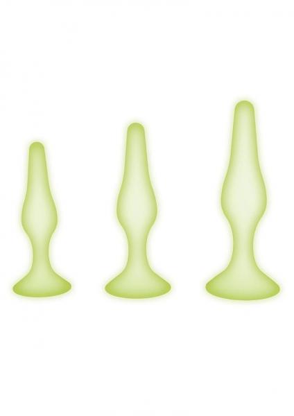 Whipsmart Gitd Silic Anal Training Kit